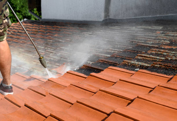 Best Affordable Pressure Washing  in Arcola, VA